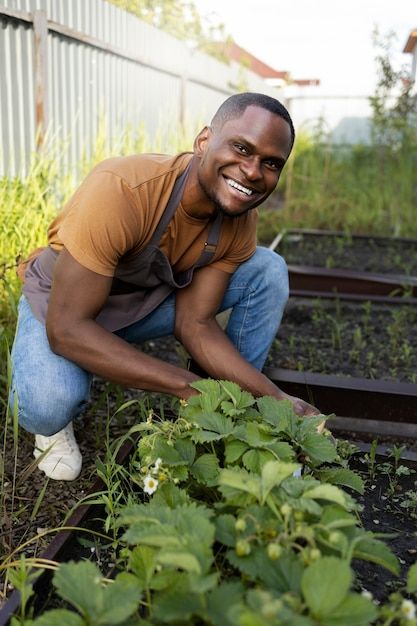 Service de Jardinage - Solution Services